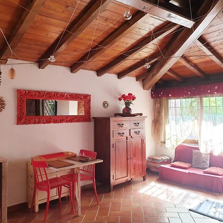 Il Ninfeo " Le Cocon" Appartamento Zagarolo Extérieur photo