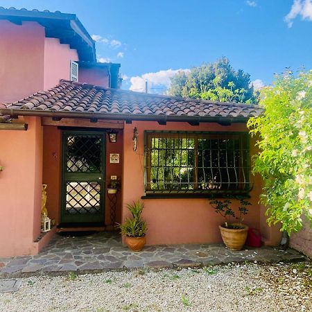 Il Ninfeo " Le Cocon" Appartamento Zagarolo Extérieur photo
